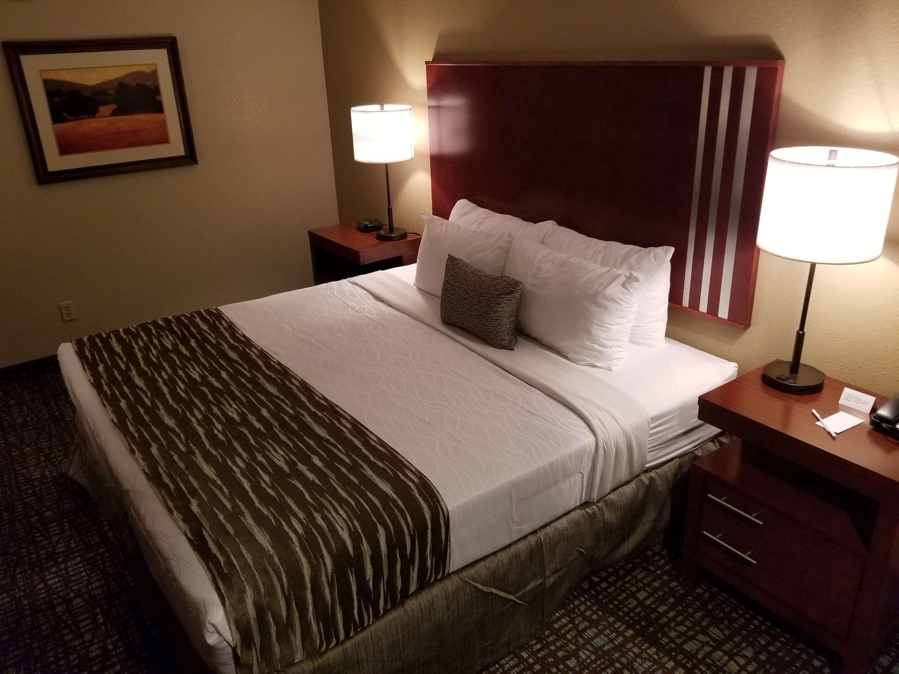 Best Western Plus Palm Court Hotel Davis Esterno foto