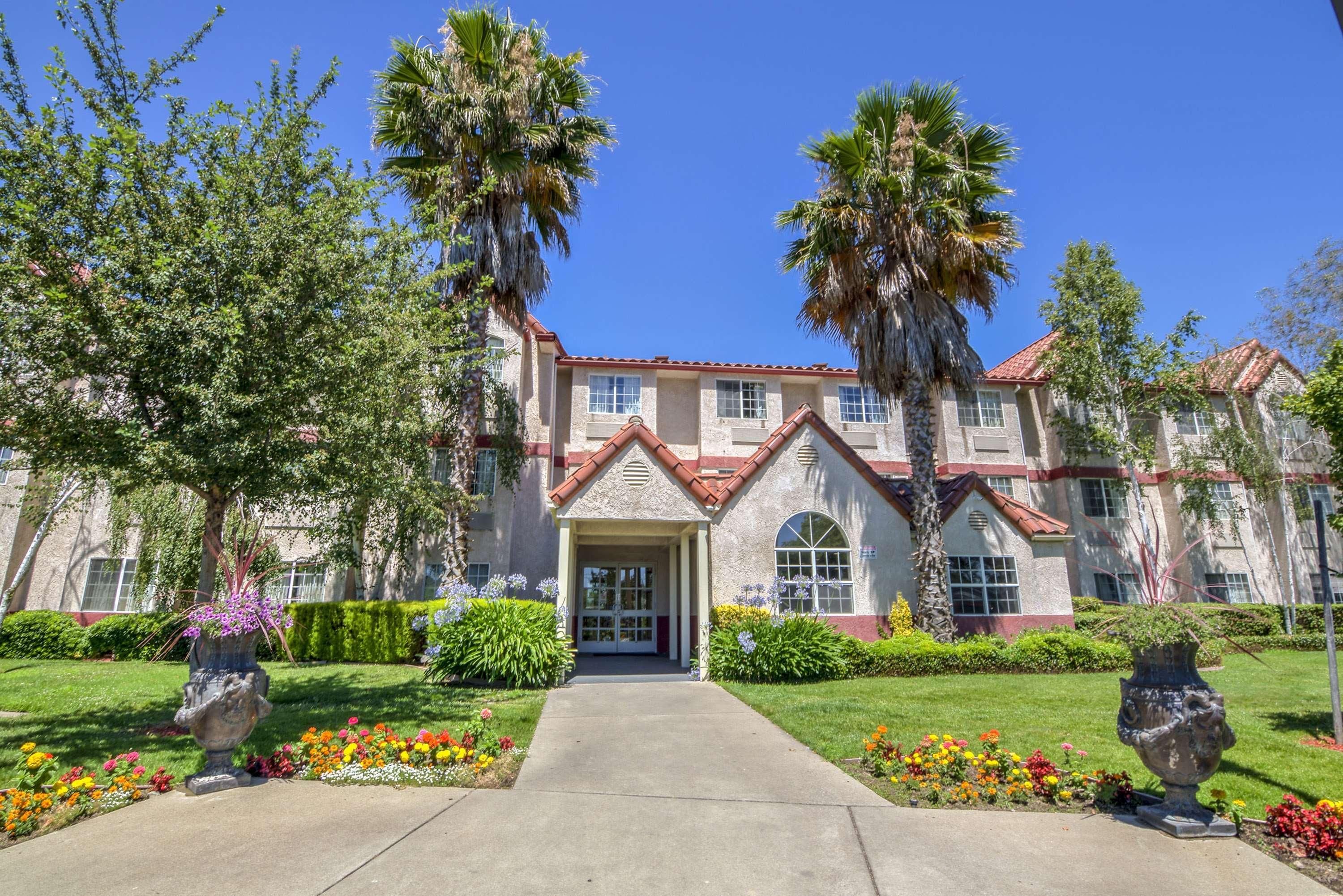 Best Western Plus Palm Court Hotel Davis Esterno foto